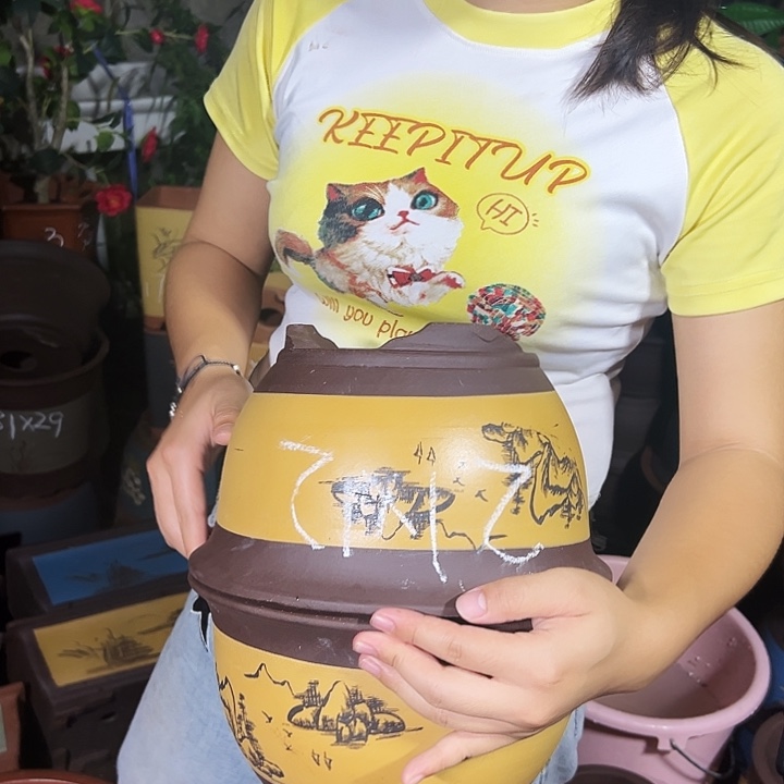 21+21黄色三角金钟花盆