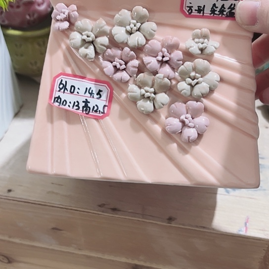 花盆11111111111111