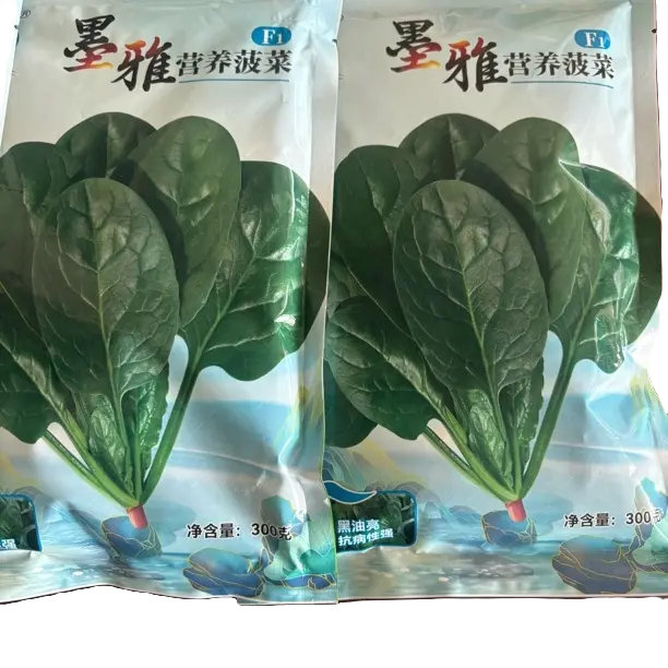 墨雅营养菠菜，耐寒，黑油亮，易捆扎，抗病性强