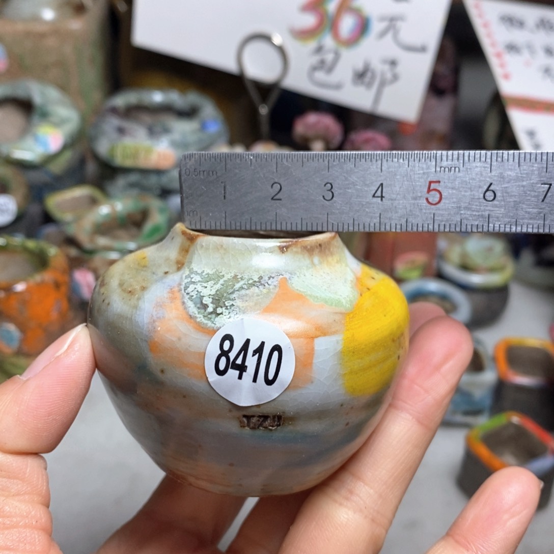 花盆拍5送一个小礼物