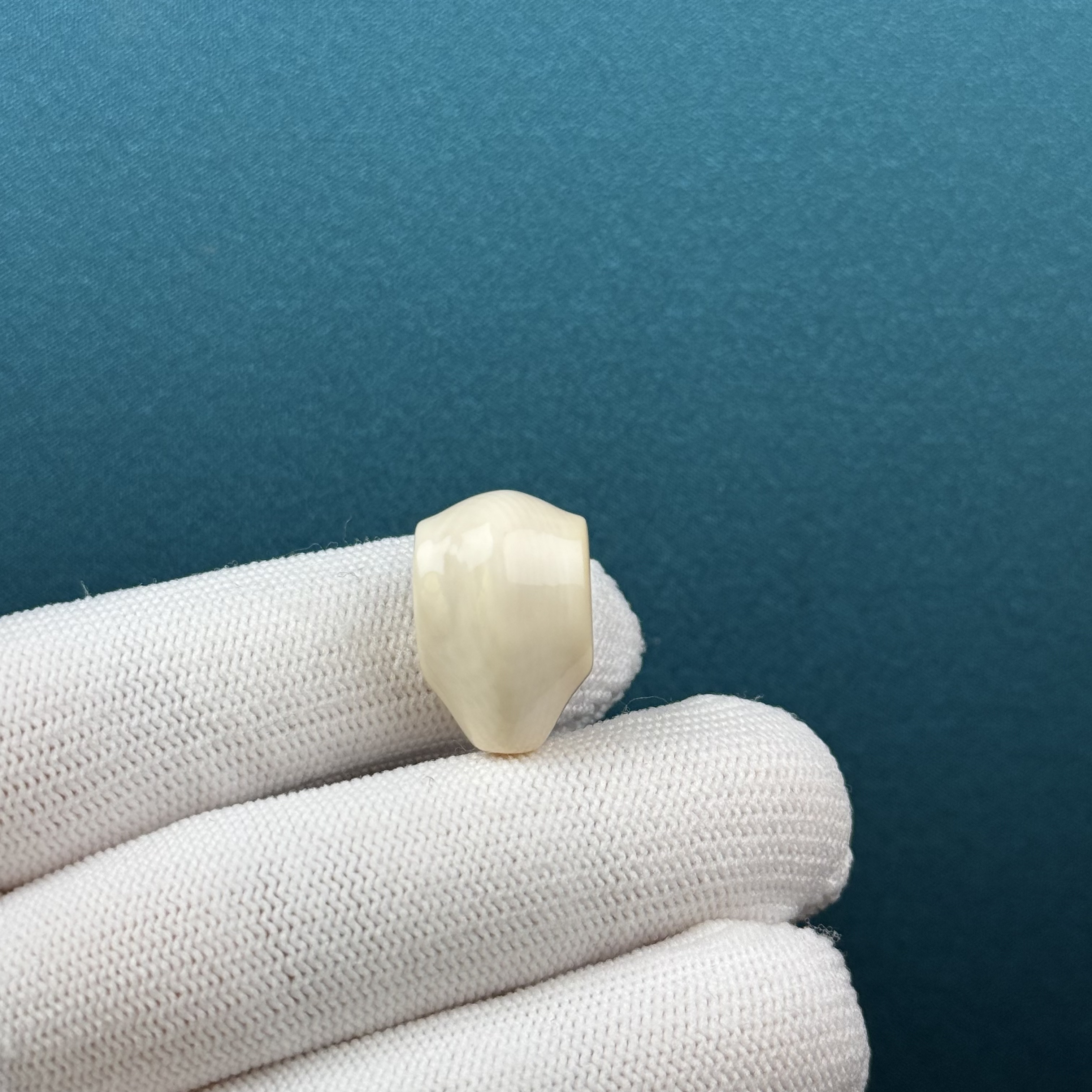 D85-19天然猛犸牙 鲨鱼背三通 13.2*19.7*14.6mm支持复检假一罚十