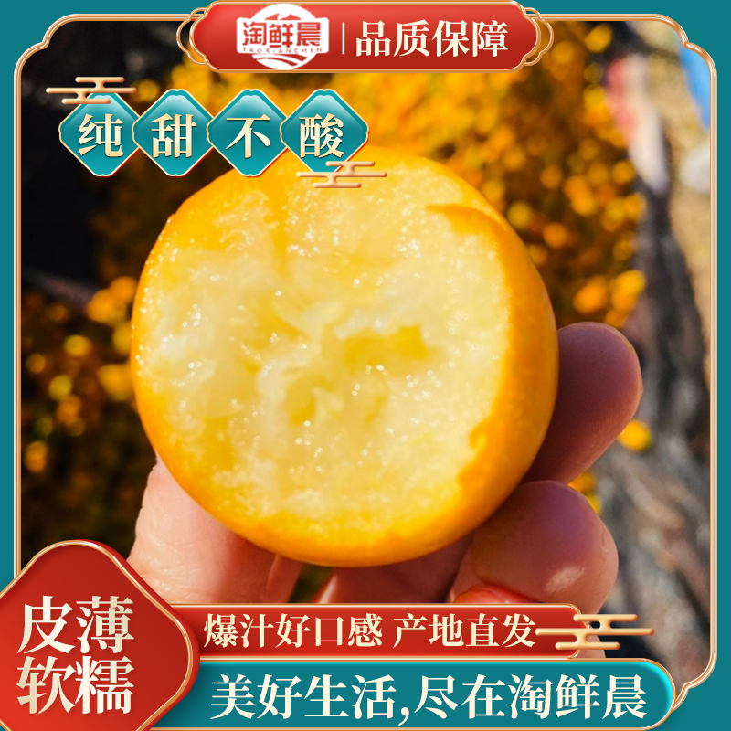 C广西融安【第三代•脆密金柑】2斤脆甜多汁包甜新鲜采摘产地发货