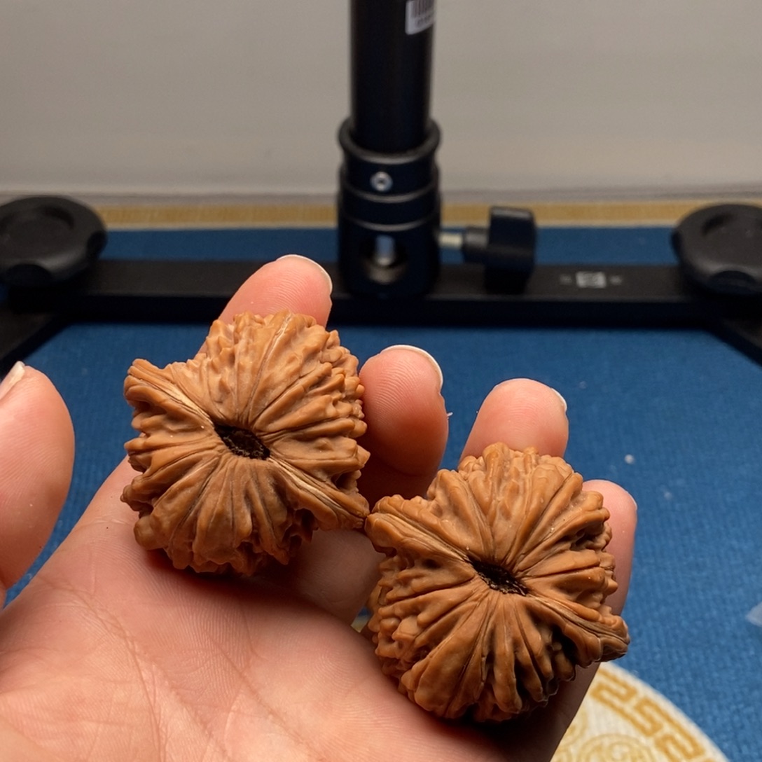 核桃43尺蓟县楼王