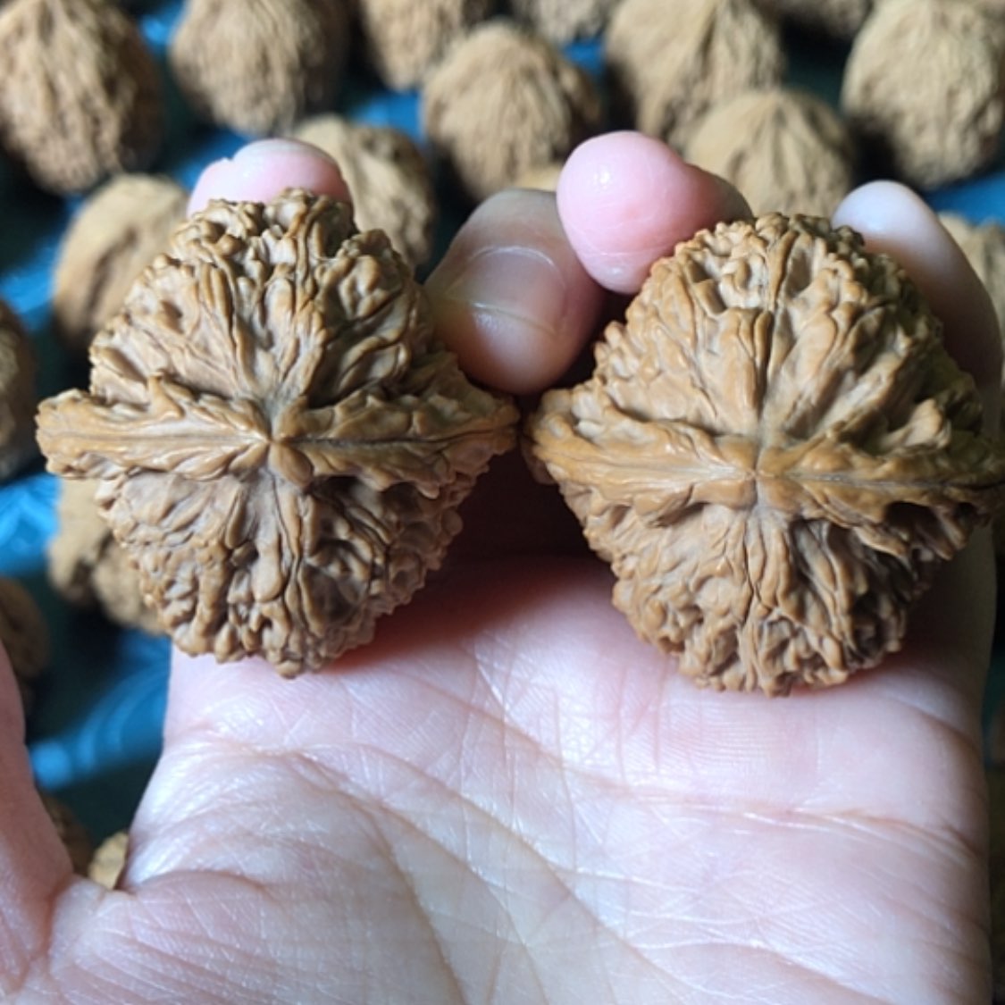 【闪购商品】文玩核桃把件佬*头一大将福利核桃