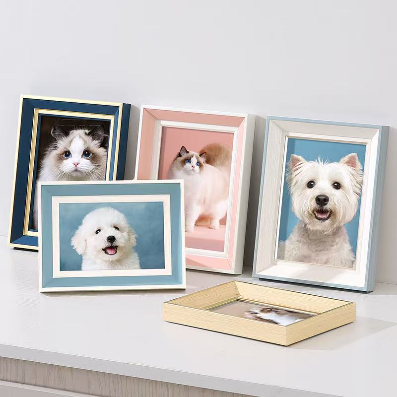 宠物相册拍前咨询