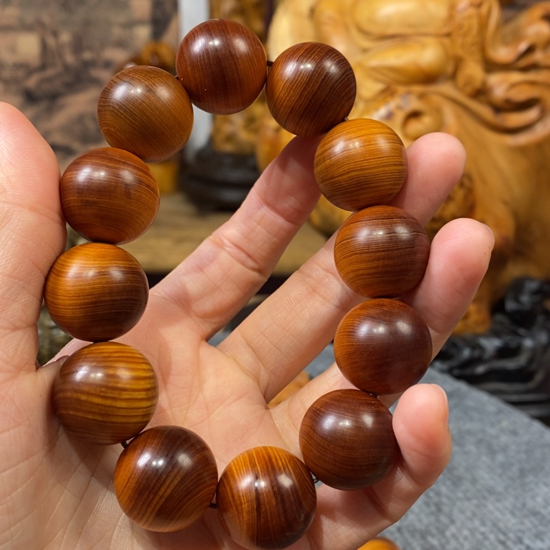 柏木（崖柏）崖柏2.0