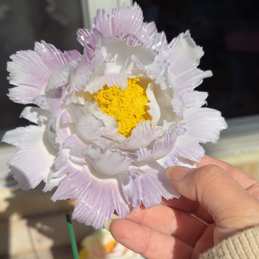 陶瓷花拍满20元发货退款拉黑