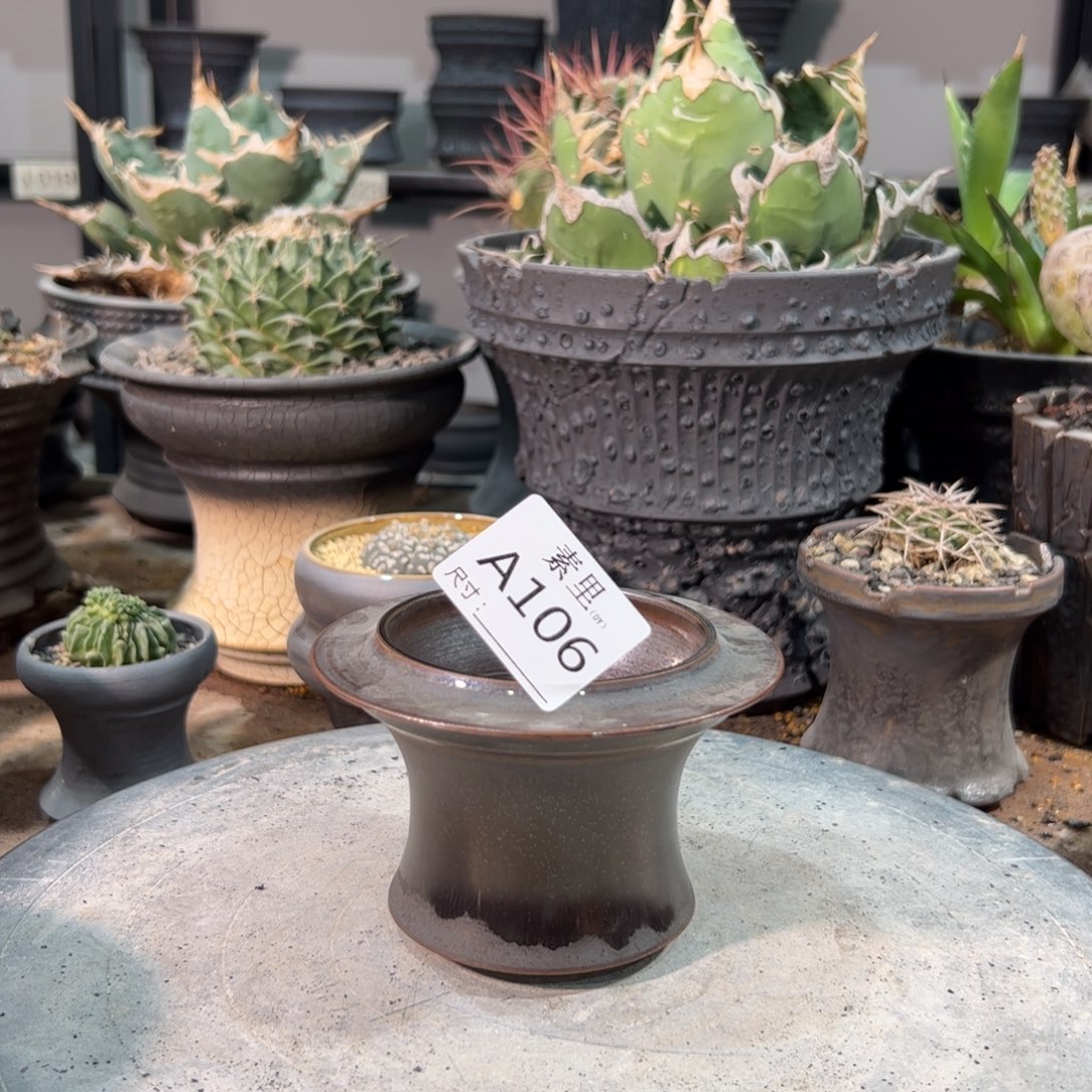 景德镇手工素里内口7.5高7