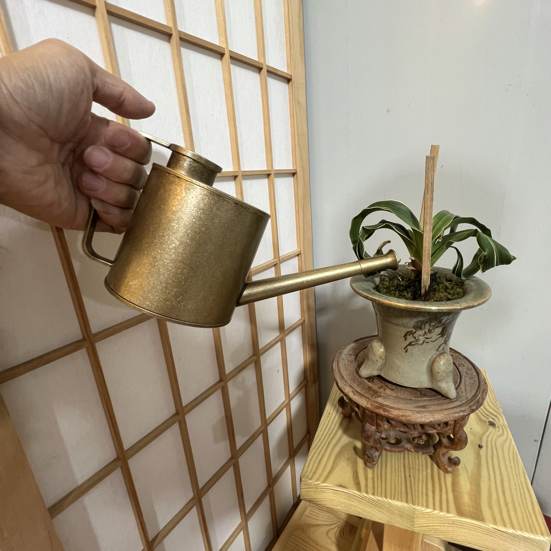 铜制盆景浇水壶,高10cm长22cm