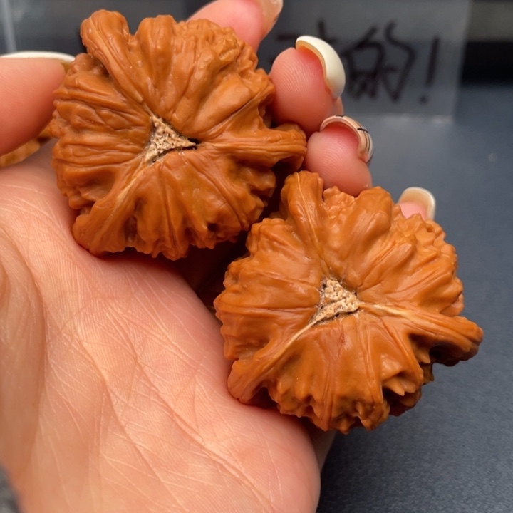 s***g吊坠文玩核桃白狮子