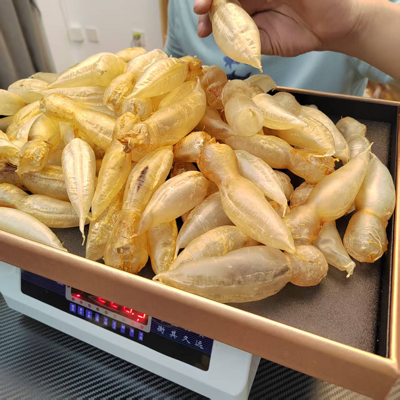 安南胶备孕孕期月子产后术后滋补品鱼胶