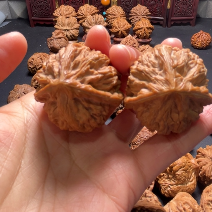 文山三棱丁字奔38尺寸核桃哈哈哈哈哈哈