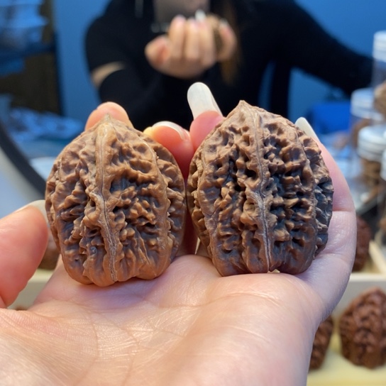 桃核把件蚂蚁墩七彩