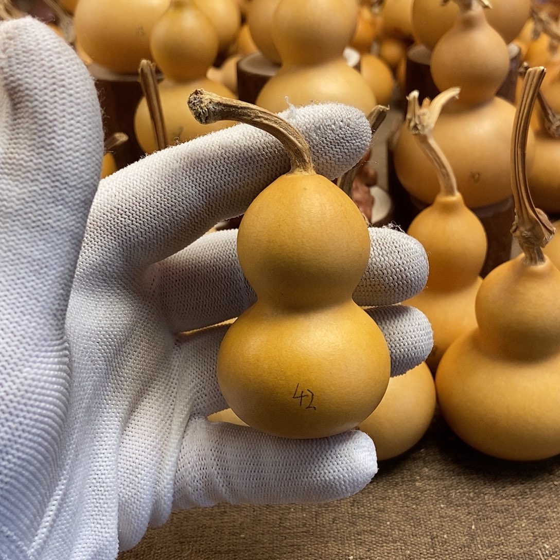 文玩葫芦 完美主义者 慎拍42