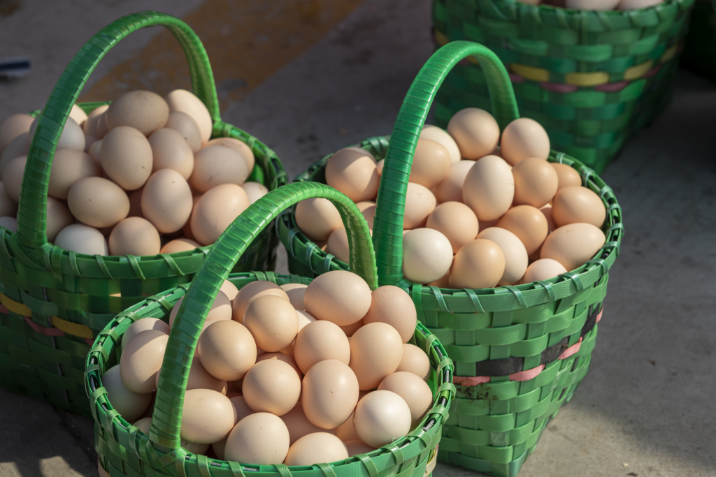 生态黑乌鸡蛋五谷杂粮新鲜美味