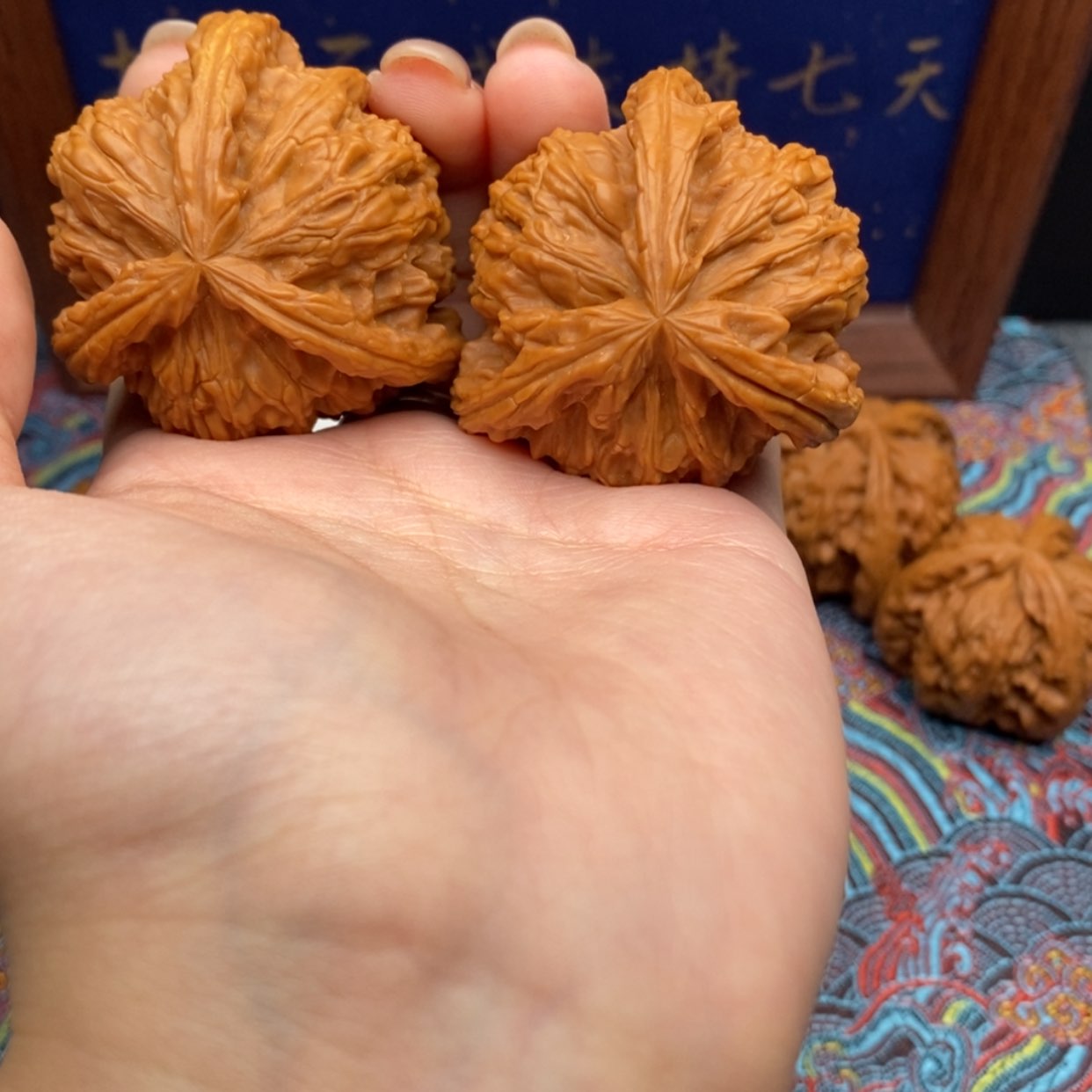 【闪购商品】爱*白狮