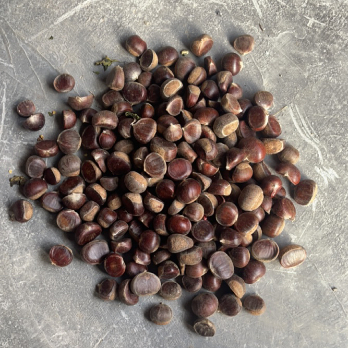 阿姨捡的老树板栗  