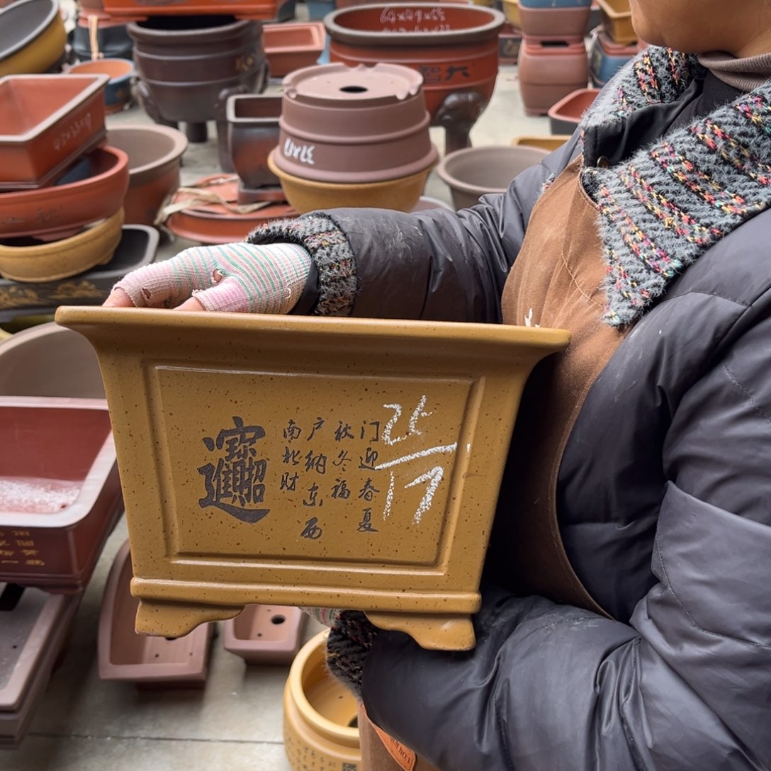 花盆紫砂盆景艺术