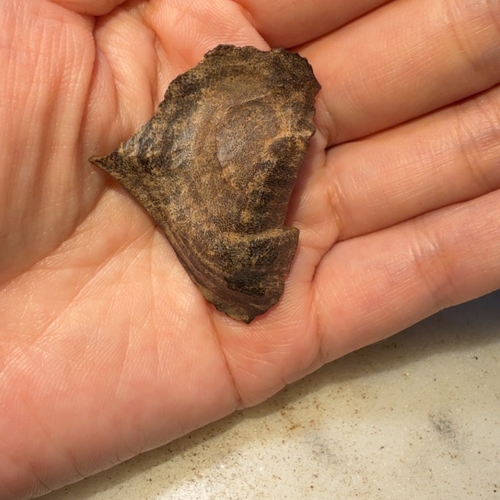 沉香吊坠海南大山老料包壳沉香1.75克