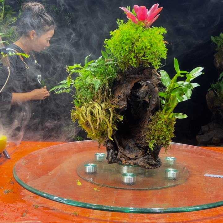 世***源完全开放1111111111