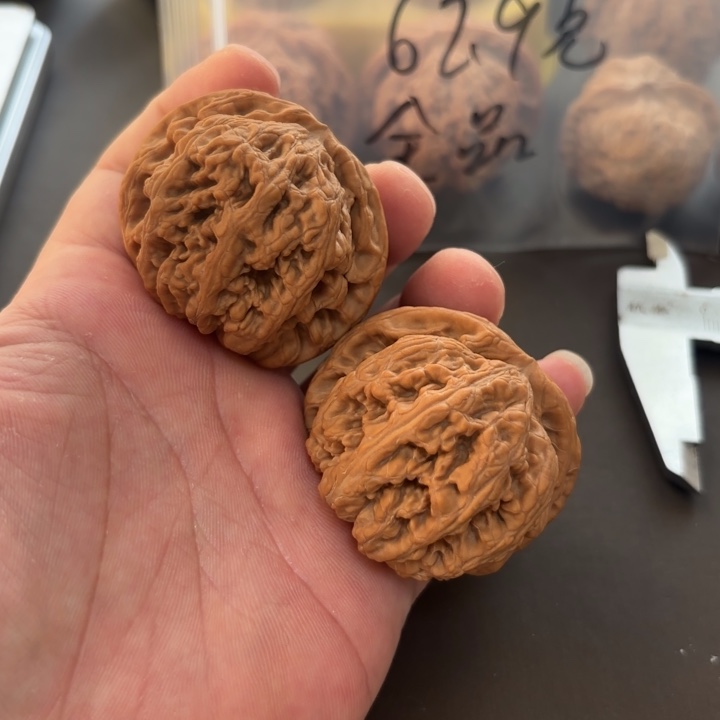 耶***啦大叶紫檀（黑酸枝木类）粗筋