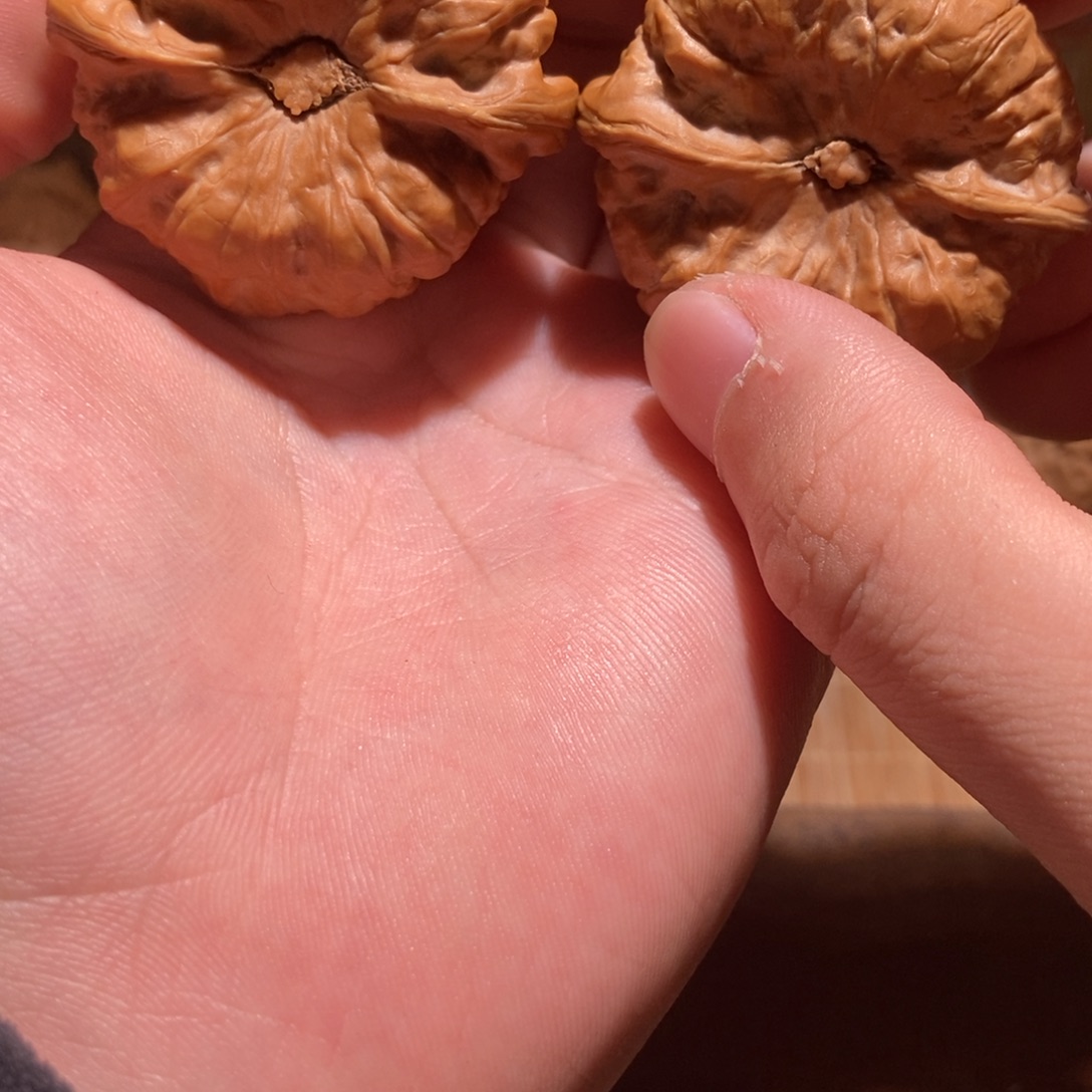 心***照吊坠文玩核桃蛤蟆头D40