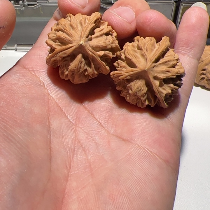 三棱天地合不通就可以去