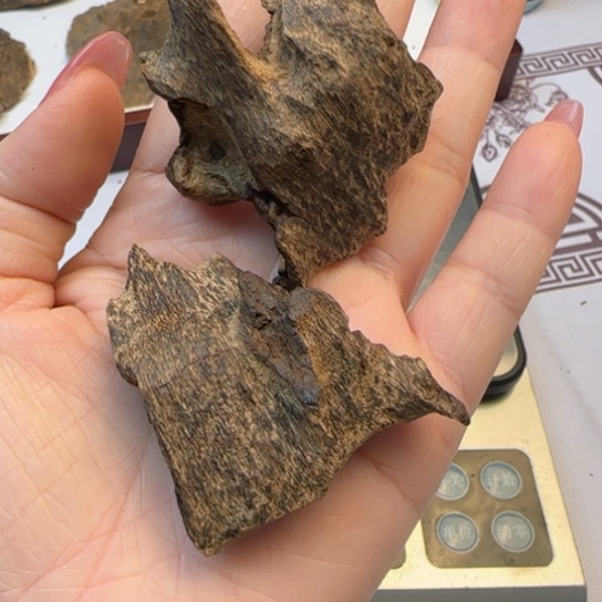 沉香木摆件福****司海南包头19.8克