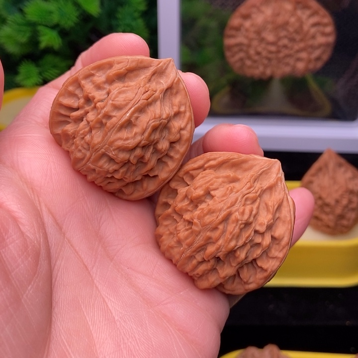 禅**玩玉龙粗筋40全品111111