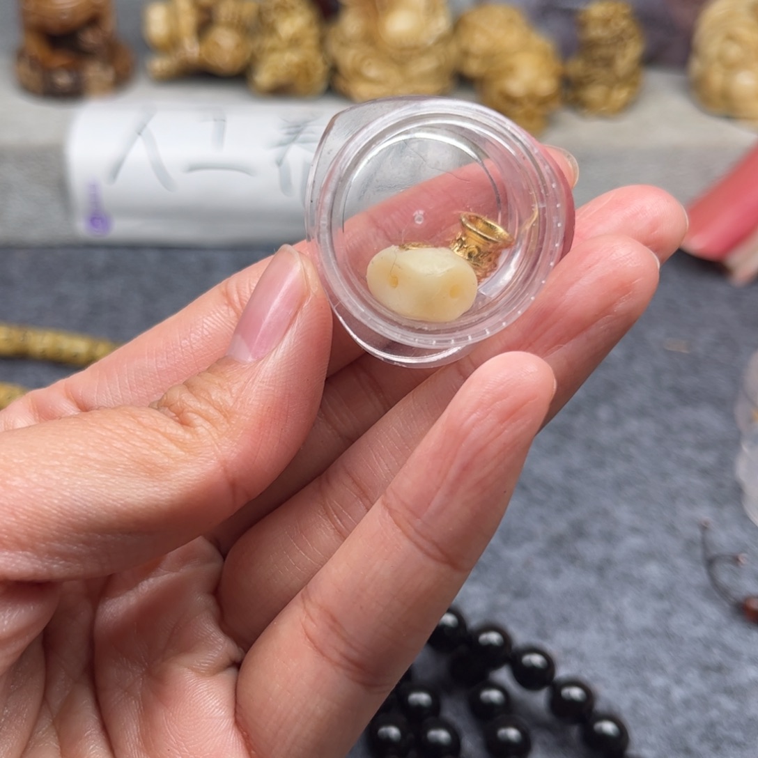 鹿骨其他人工养殖驼骨47