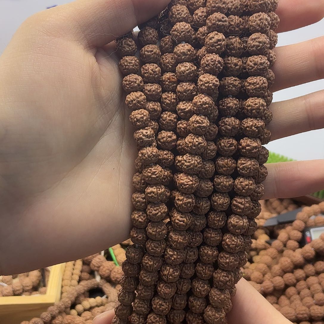 金刚菩提吊坠野龙，一条保手持