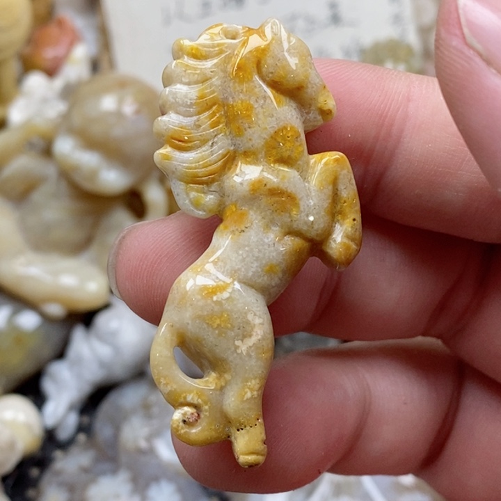 颈饰未镶嵌硅化珊瑚（珊瑚玉）用****1