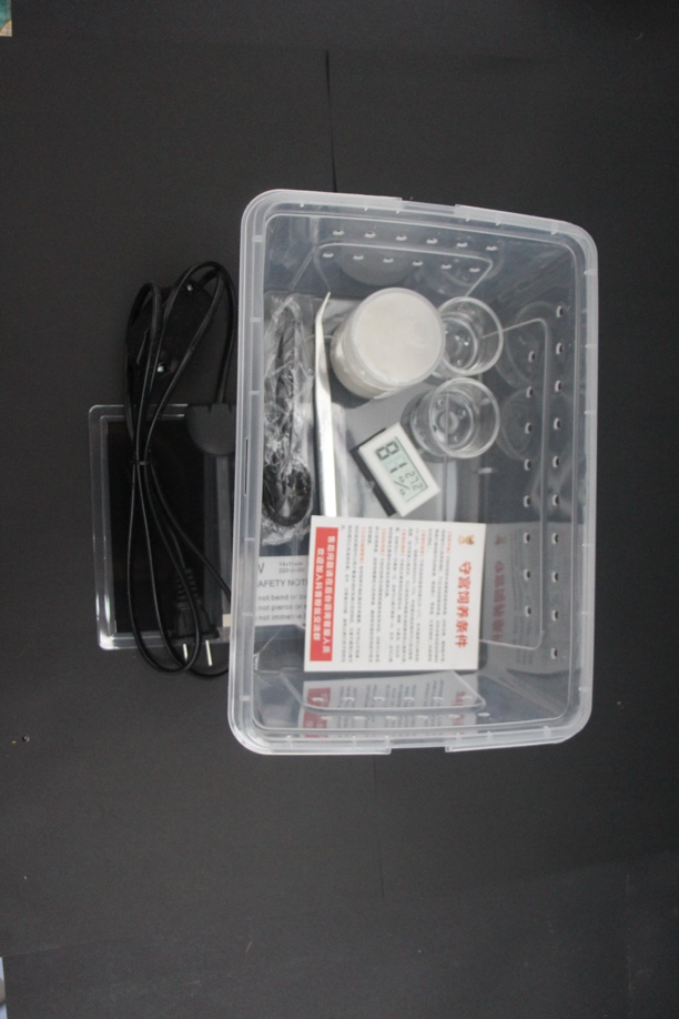 爬宠饲养盒适用于豹纹守宫肥尾守宫