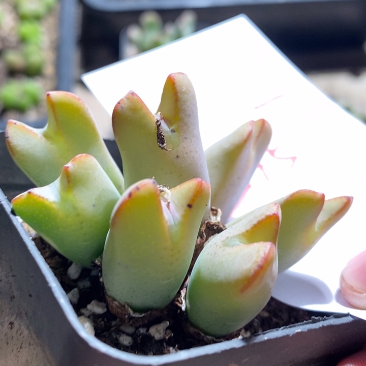 5157一个一个一个