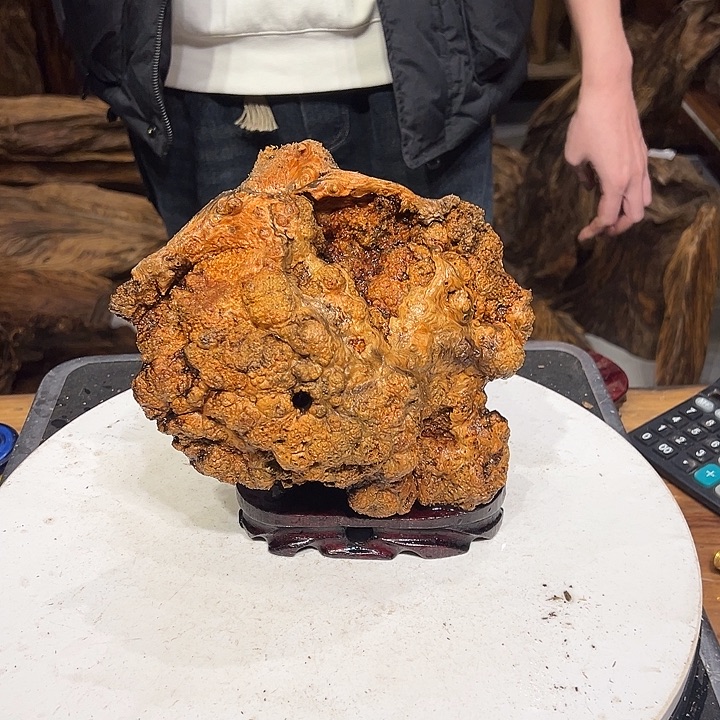 松木（琥珀木）阳*