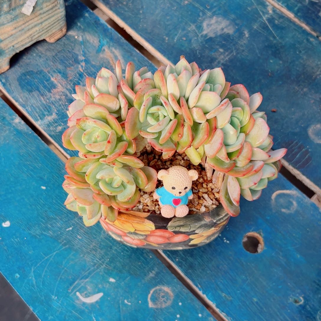 奶茶68的，补差价