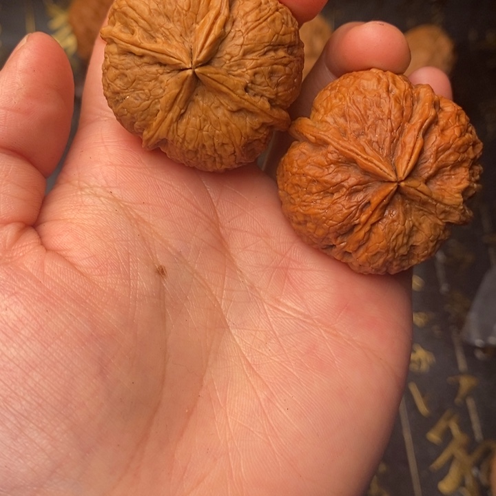 吊坠文玩核桃铁核桃13