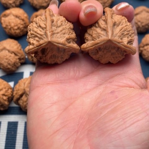 橄榄核手串/手链糖三角36全品