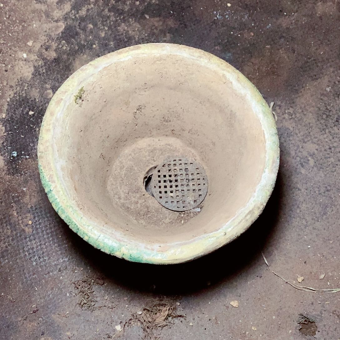 【闪购商品】向****儿哈哈哈哈花盆多肉1637