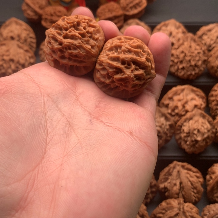 其他核桃秦岭秦豆