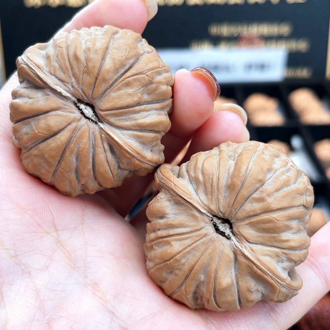 把件文玩核桃42毕业级近圆肉底放射纹➕近正肩42S8