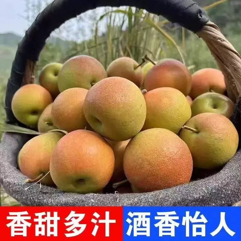 【彤果良品】东北南国梨鞍山南果梨5斤装上海市