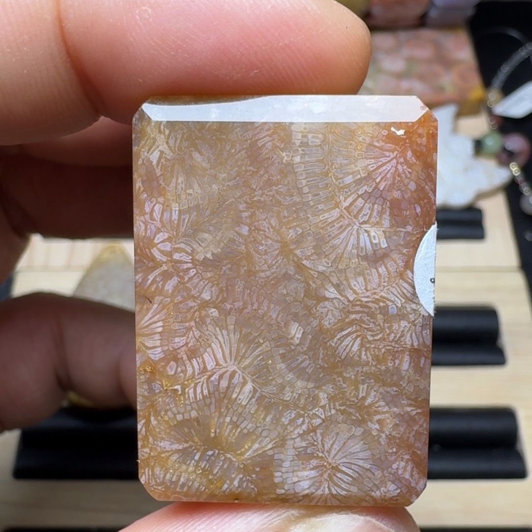 未镶嵌纯天然色有机玉石保真色硅化玉