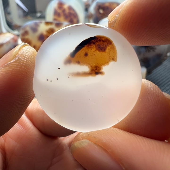 未镶嵌玛瑙/玉髓珠宝奇石