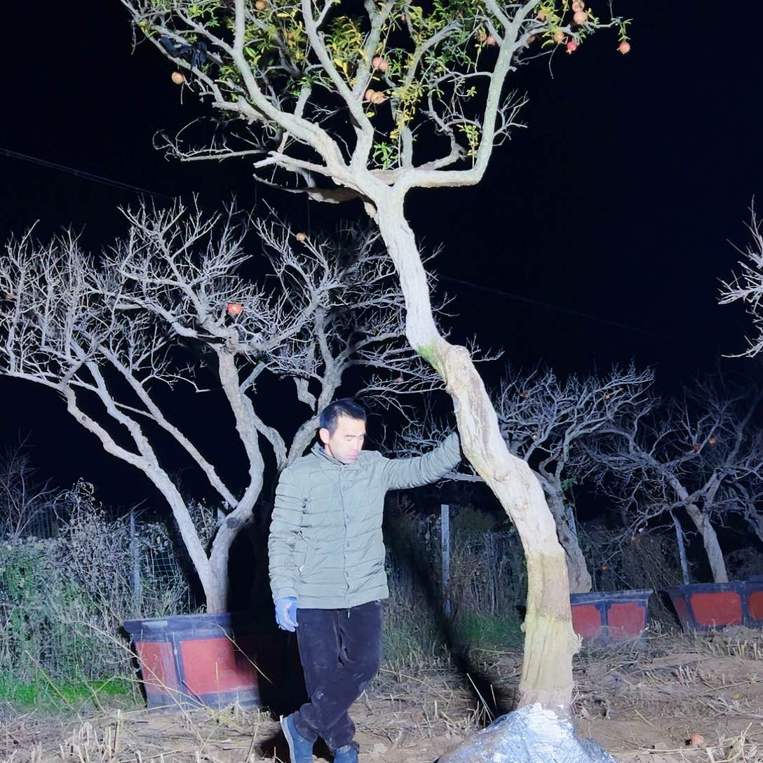 无花朵健健康康快快乐乐