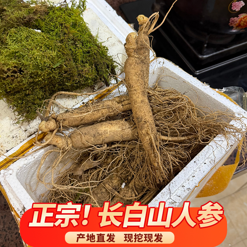 长白山现挖现发新鲜可煲汤泡酒