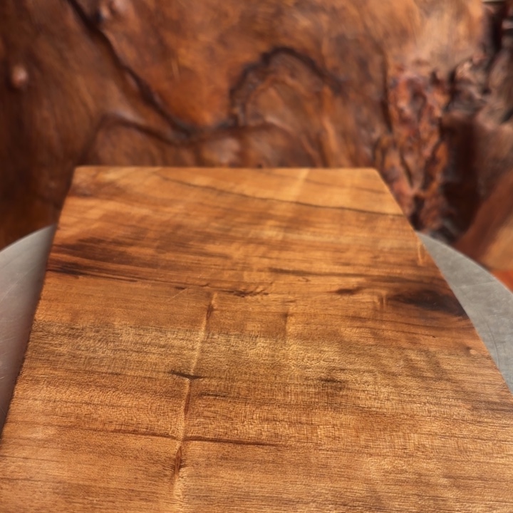 物***室大叶紫檀（黑酸枝木类）