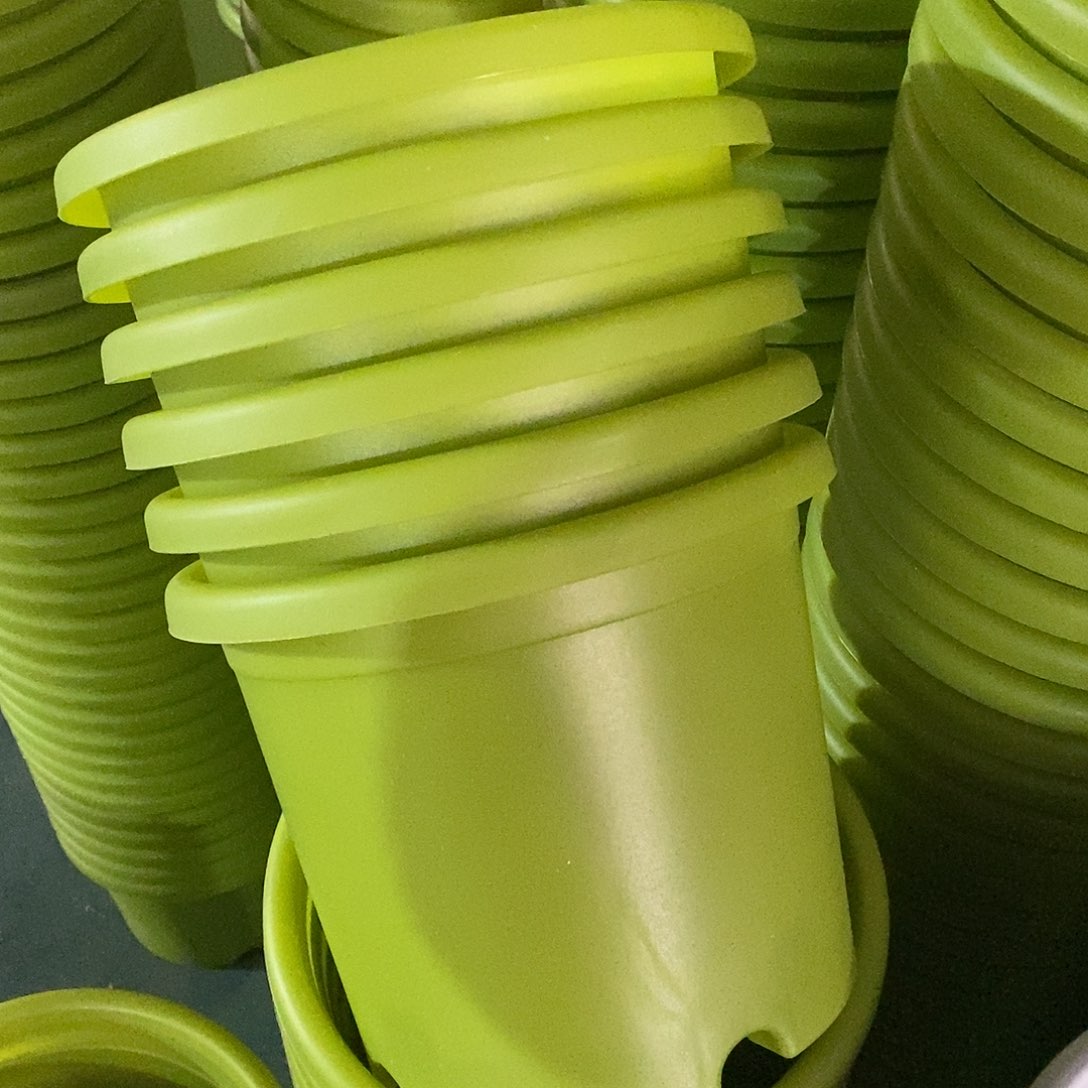 树脂特价3#无拖果绿10个