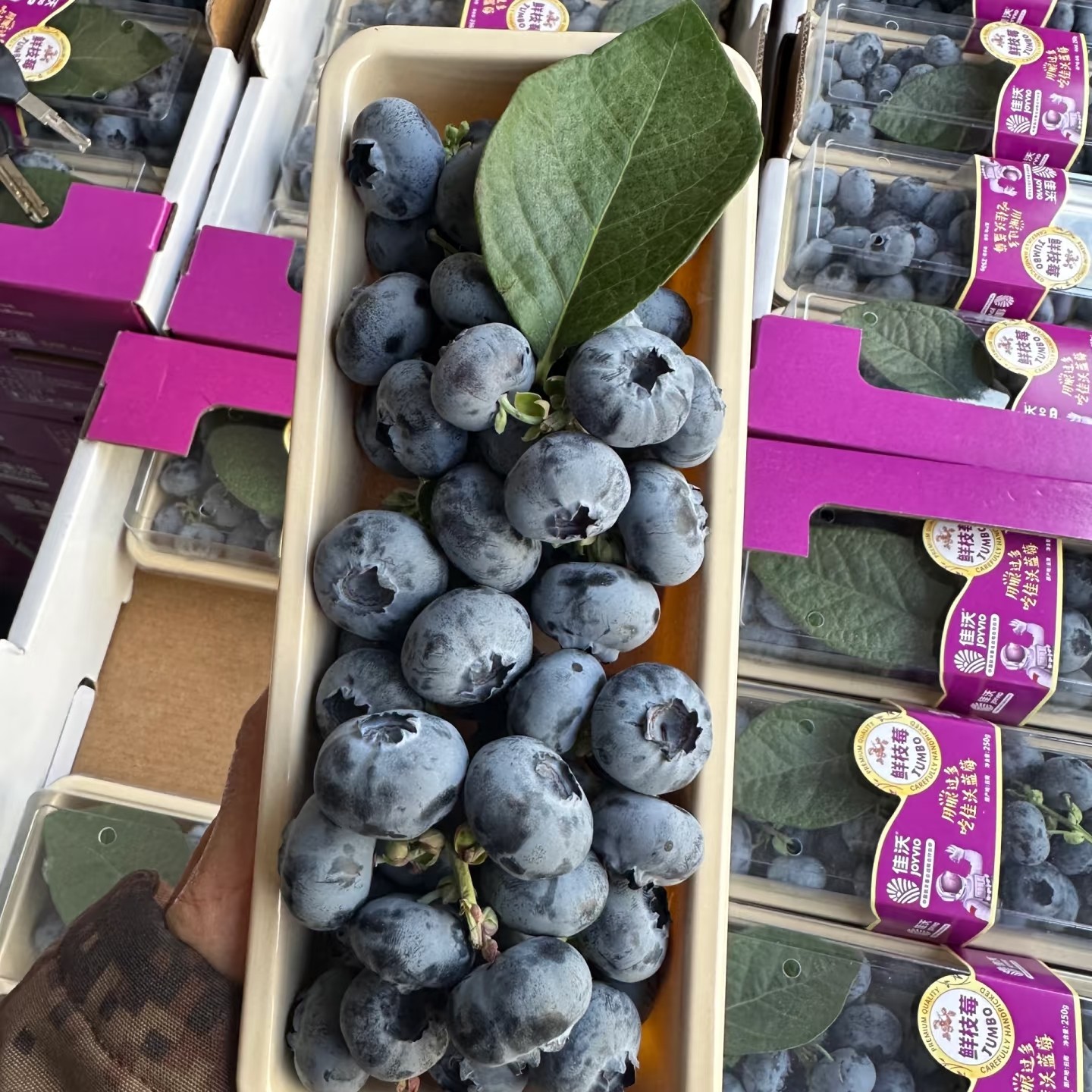 佳沃鲜枝蓝莓直径17mm产地云南250克