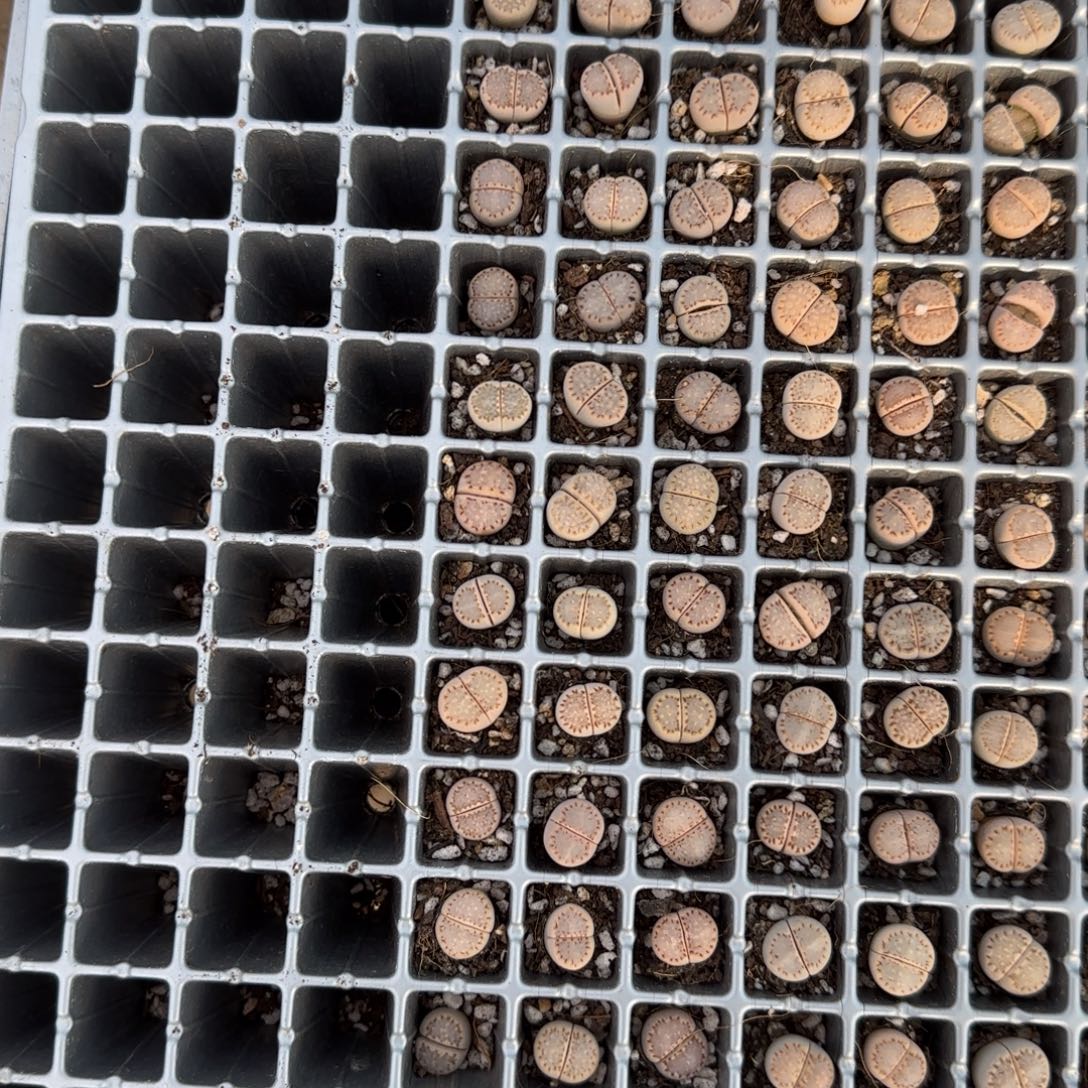 9534。左边第一列。。。。。。